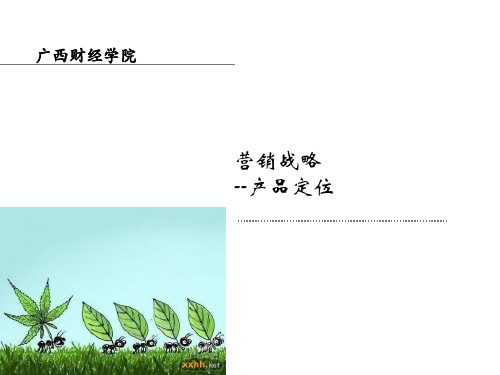 18-营销战略STP之P
