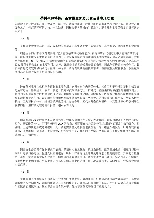 茶树生理特性