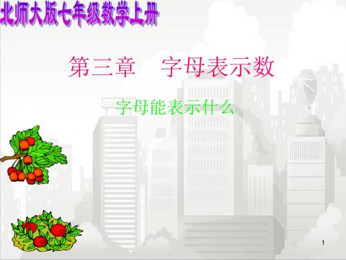 北师大版七年级初一数学上册 3.1 字母能表示什么 4