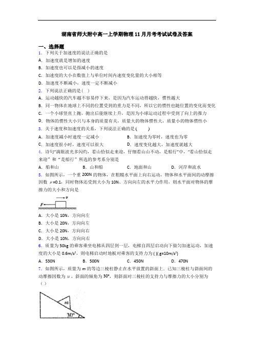 湖南省师大附中高一上学期物理11月月考考试试卷及答案