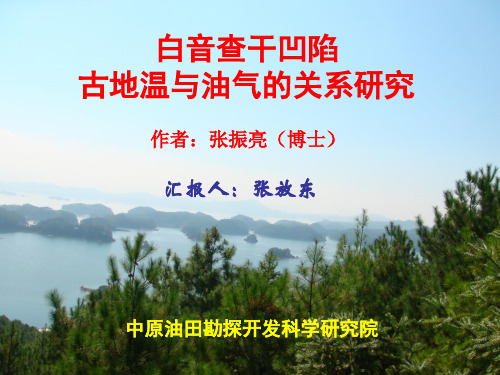 成藏会议演讲稿(张放东)