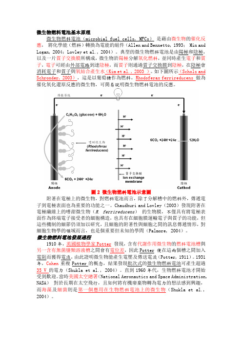 微生物燃料电池基本原理