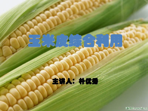 玉米的综合利用 玉米皮的综合利用