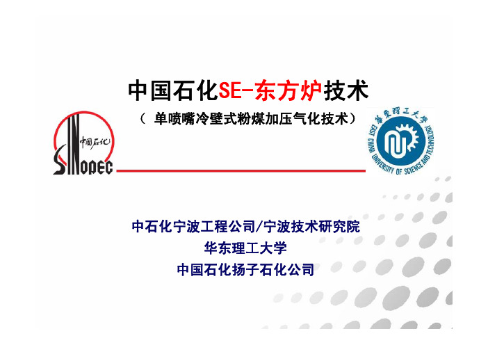 SE-东方炉技术