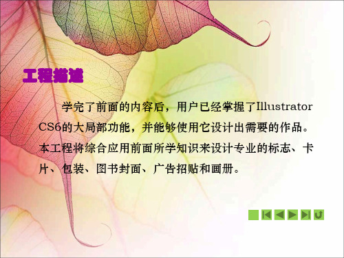 《Illustrator CS6平面设计案例教程》(教学课件 10