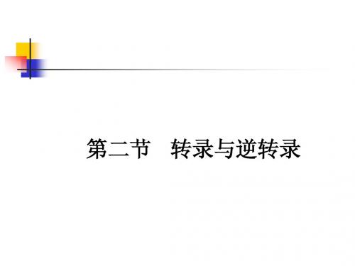 RNA的生物合成