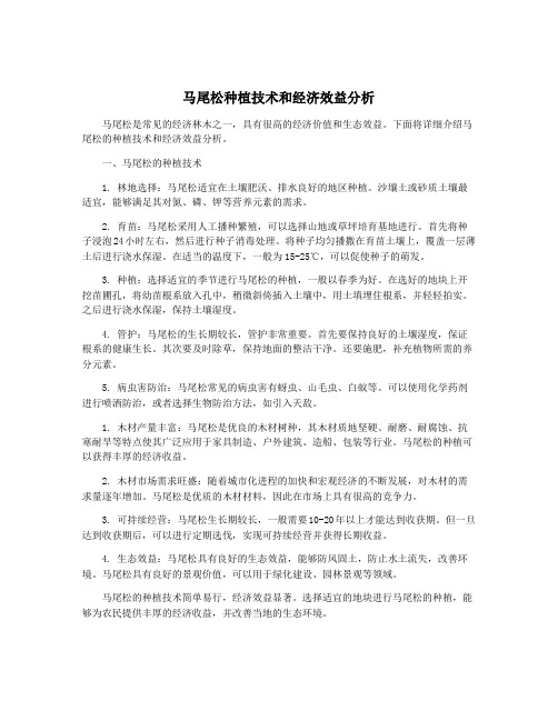 马尾松种植技术和经济效益分析