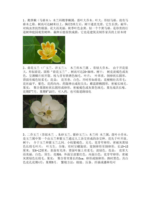 华南地区植物..
