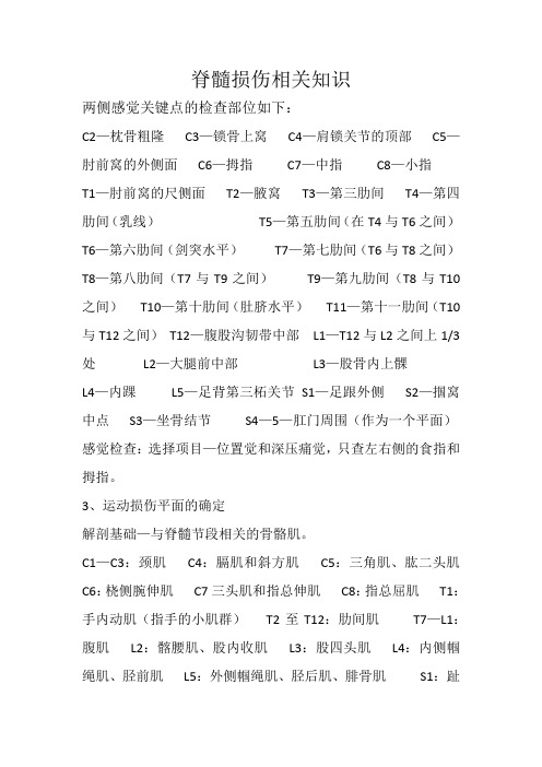 脊髓损伤平面