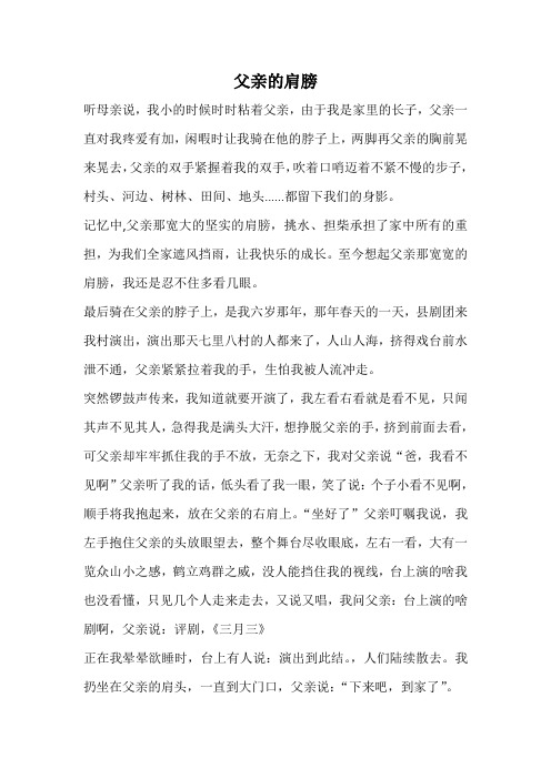 父亲的肩膀