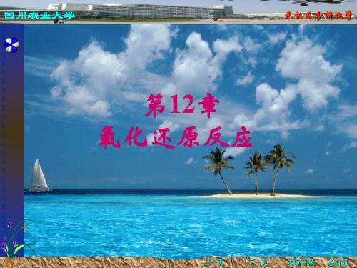 氧化还原反应12