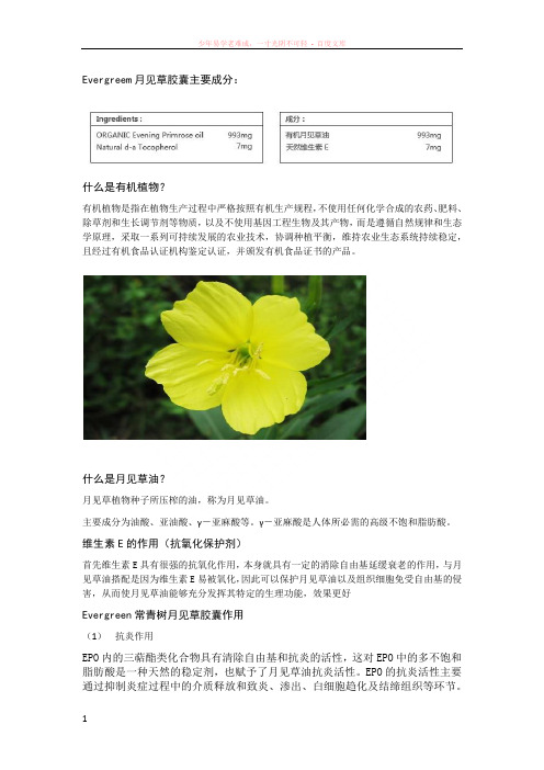 evergreen常青树月见草油胶囊