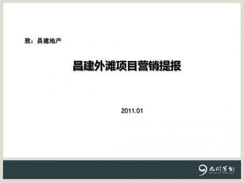 某外滩项目营销提报(PPT 29张)