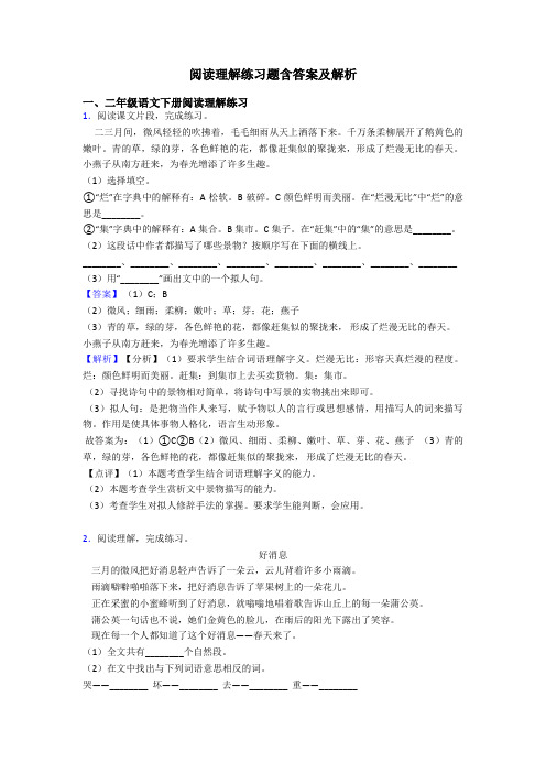 二年级阅读理解练习题含答案及解析