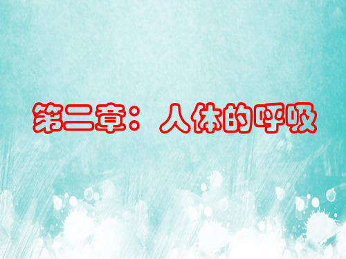 人体的呼吸复习备课PPT课件讲义