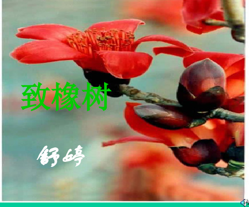 《高一语文致橡树》PPT课件