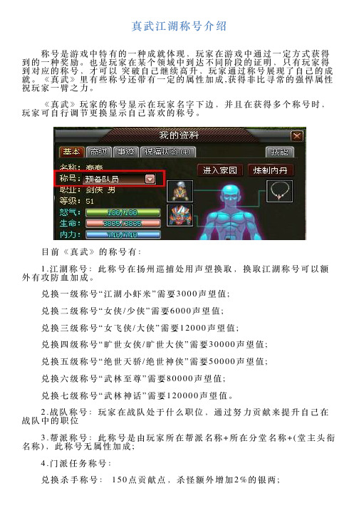 真武江湖称号介绍