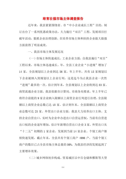 培育壮强市场主体调查报告