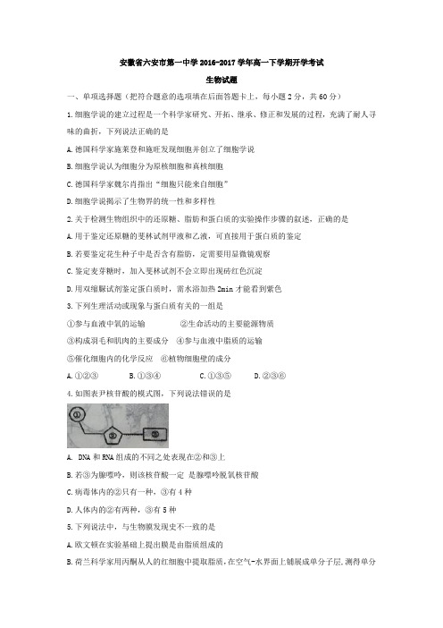 安徽省六安市第一中学2016-2017学年高一下学期开学考试生物试题Word版含答案