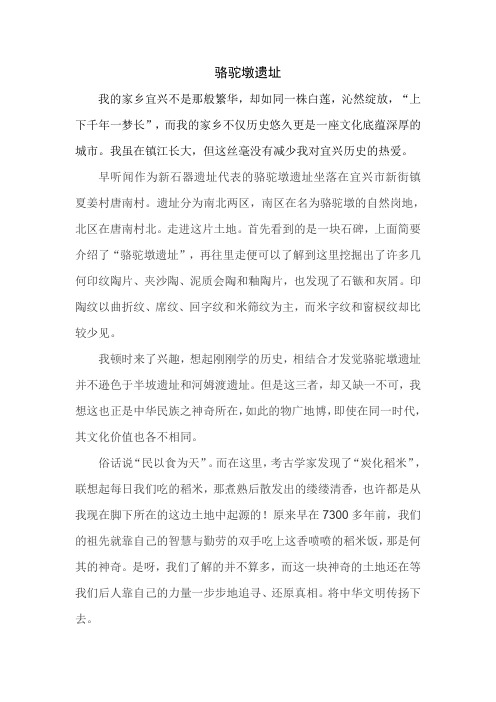 骆驼墩遗址