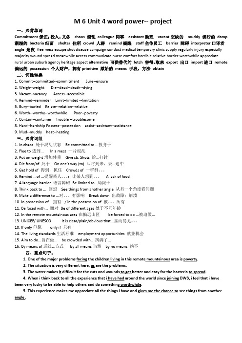 高中英语牛津译林版 M6 unit 4project 词汇总结