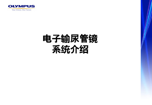 电子输尿管镜系统介绍ppt课件