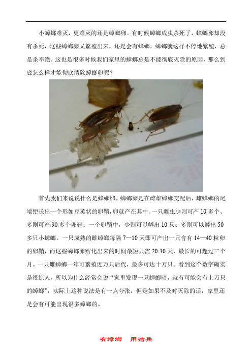 蟑螂卵一般藏在哪 小黑点是蟑螂卵吗