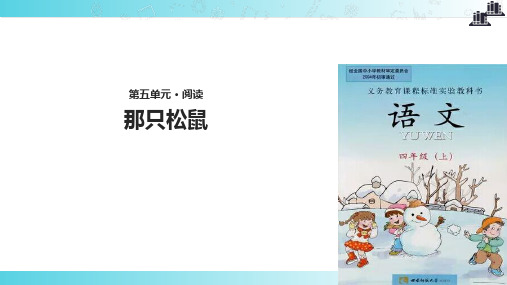 2021西南师大版小学语文四年级上册《那只松鼠》教学课件