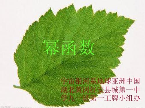 幂函数的性质与图像ⅠⅡ
