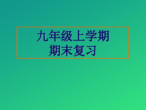 苏科版 九年级上册 物理 第十一章 之 第十五章 期末复习  课件
