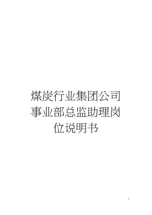 煤炭行业集团公司事业部总监助理岗位说明书模板