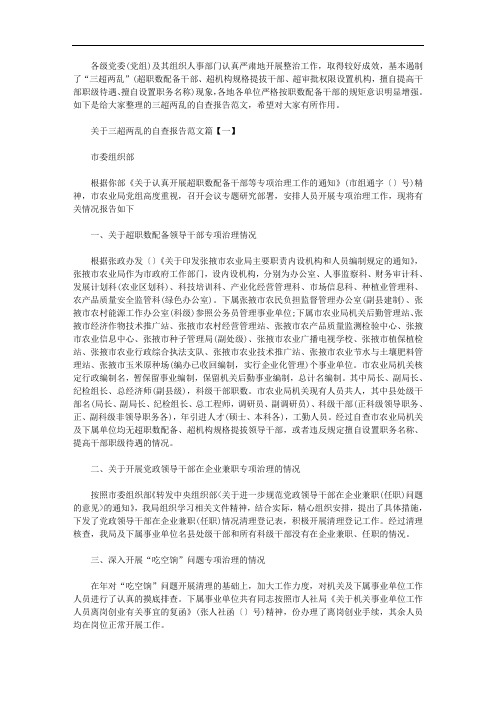 2020年最新关于三超两乱的自查报告范文