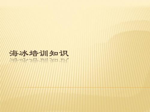 海冰项目培训
