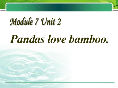 《Pandas love bamboo》PPT课件2