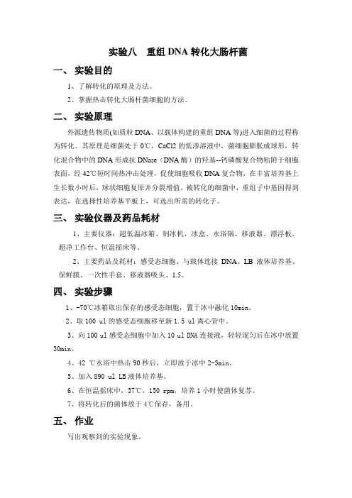 实验八  重组DNA转化大肠杆菌