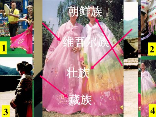 五十六个民族
