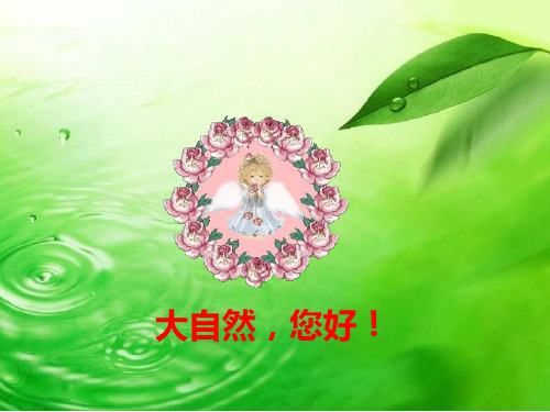 二年级下：大自然您好