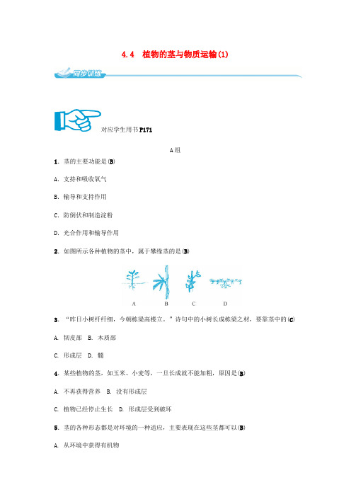 八年级科学下册 4.4 植物的茎与物质运输(1)同步练习 (新版)浙教版