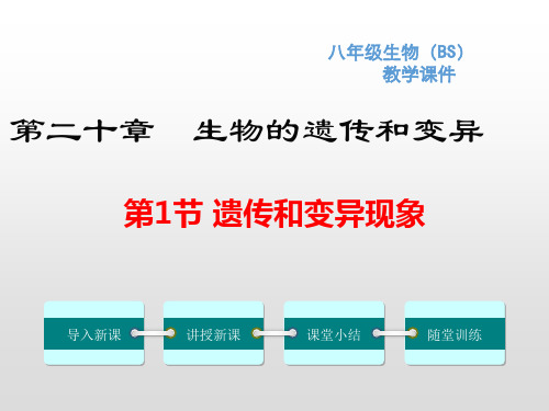 北师大版八年级生物上册第20章生物的遗传和变异PPT精品教学课件+习题课件
