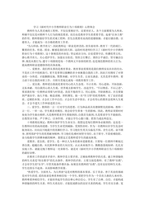 《新时代中小学教师职业行为十项准则》心得体会(五篇)