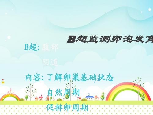 B超监测卵泡发育  ppt课件