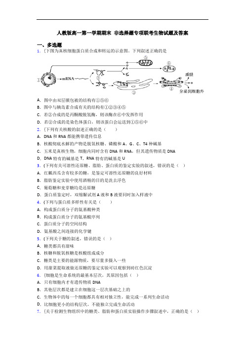 人教版高一第一学期期末 非选择题专项联考生物试题及答案
