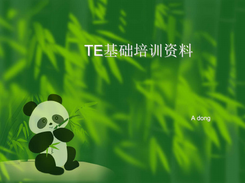 TE基础培训资料
