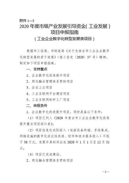 1103申报指南-数字化转型