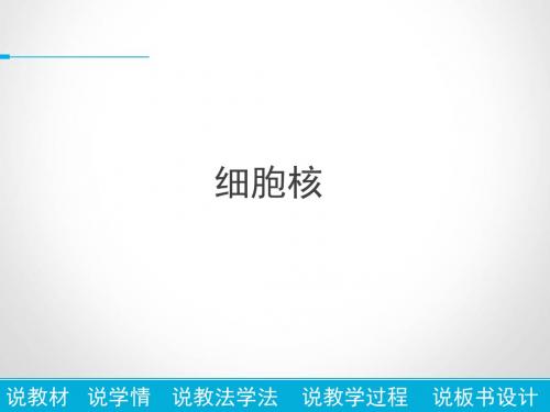 《细胞核》说课
