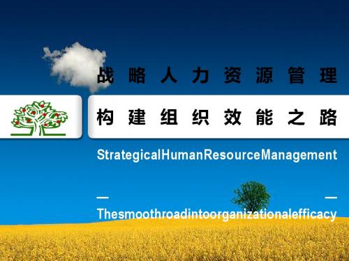 战略人力资源管理课件(PPT 54张)