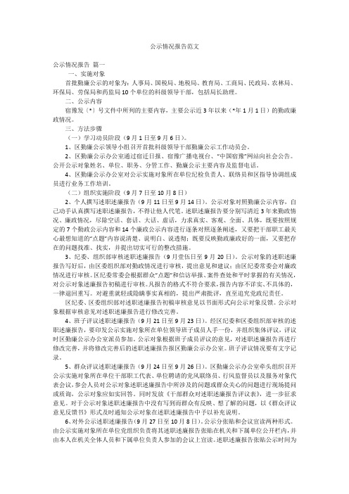 公示情况报告范文