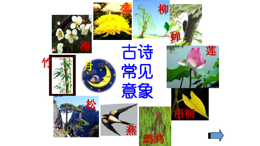 高中语文《唐宋诗第五课紫蝶黄蜂俱有情——咏物抒怀蝉》139PPT课件 一等奖名师公开课比赛