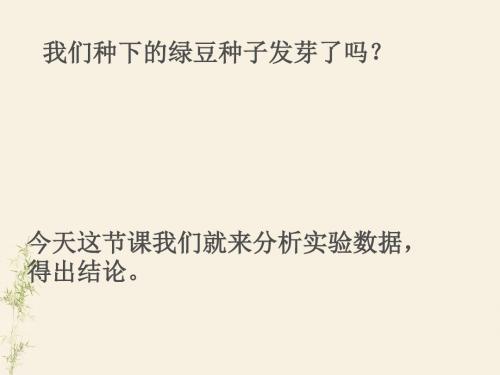 2种子发芽实验二