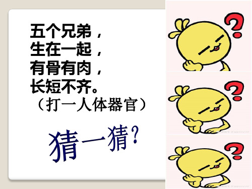 湘美版美术一年级下册课件-3. 手型添画13